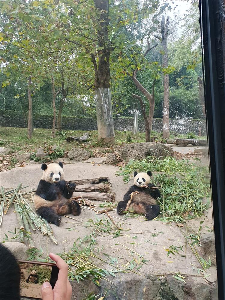 WhatsApp Image 2024-11-05 at 07.11.44.jpeg