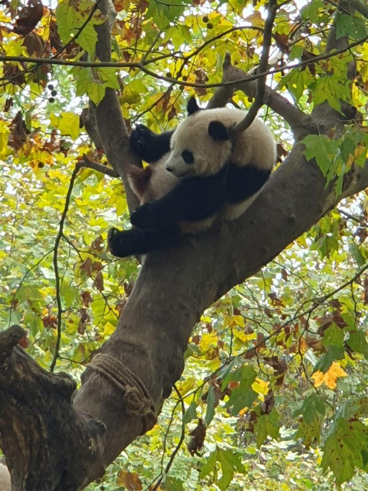 WhatsApp Image 2024-11-05 at 07.11.19.jpeg