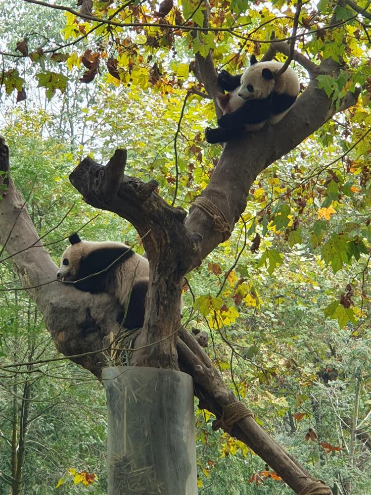 WhatsApp Image 2024-11-05 at 07.11.15.jpeg