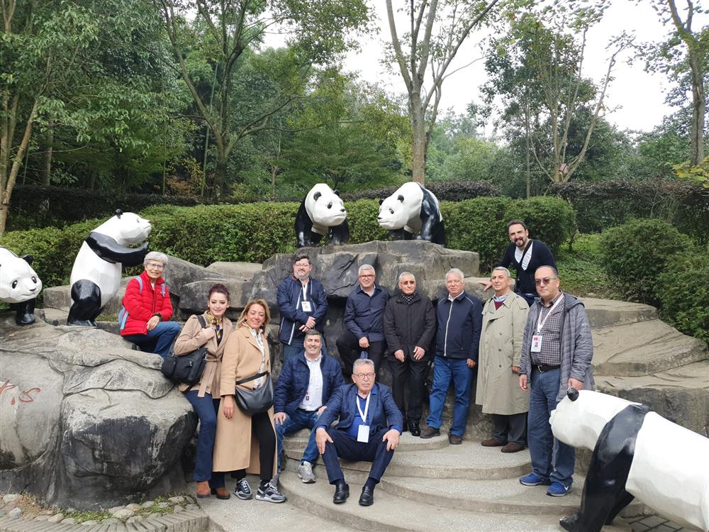 WhatsApp Image 2024-11-05 at 07.10.45.jpeg