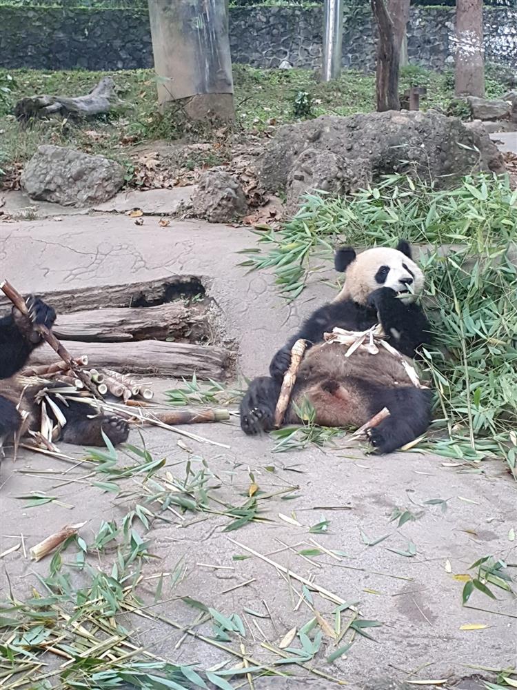 WhatsApp Image 2024-11-05 at 07.11.43.jpeg