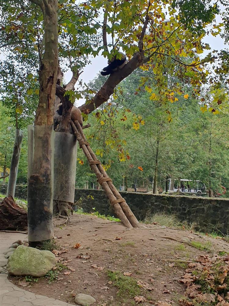 WhatsApp Image 2024-11-05 at 07.11.14.jpeg