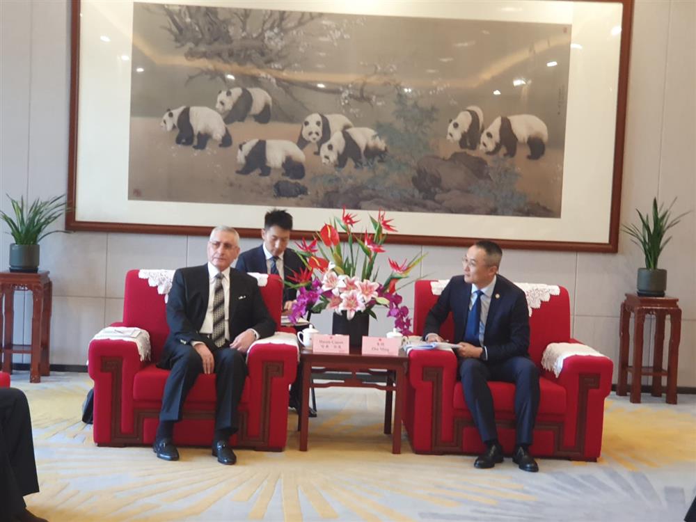 WhatsApp Image 2024-11-05 at 07.12.40.jpeg