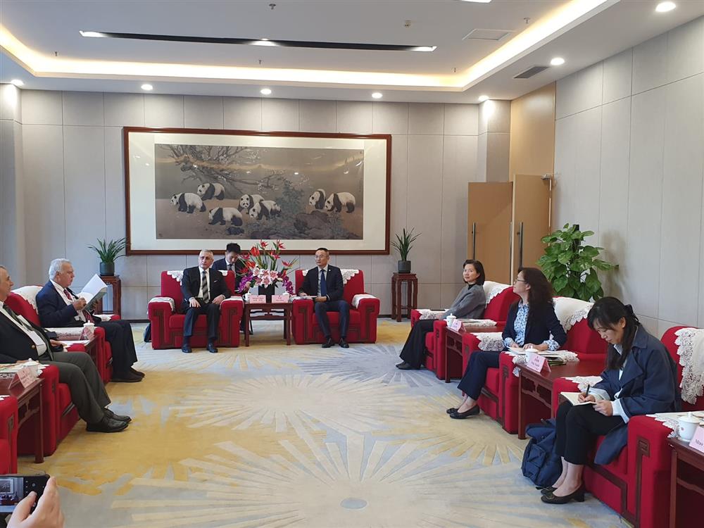 WhatsApp Image 2024-11-05 at 07.12.38.jpeg