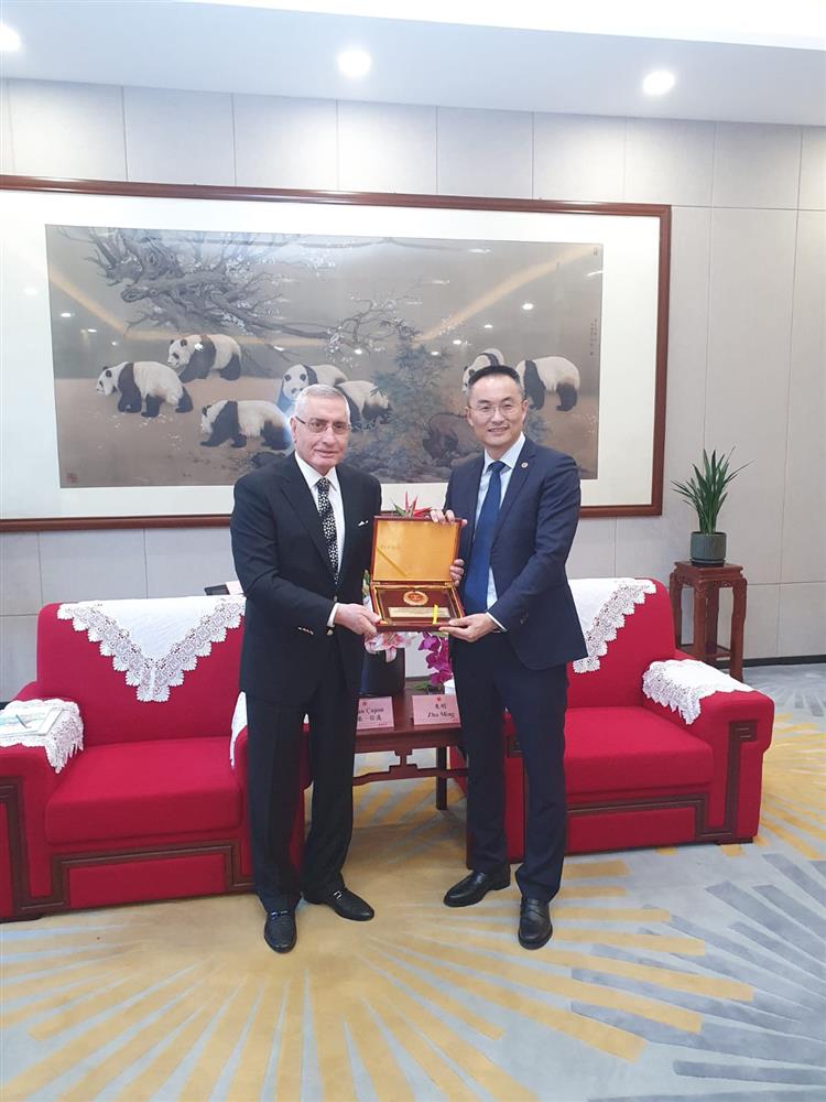 WhatsApp Image 2024-11-05 at 07.12.59.jpeg