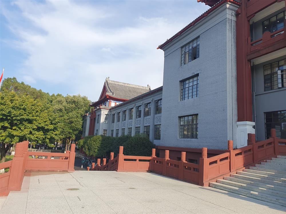 WhatsApp Image 2024-11-05 at 07.11.47.jpeg