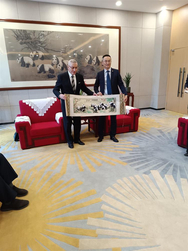 WhatsApp Image 2024-11-05 at 07.12.27.jpeg