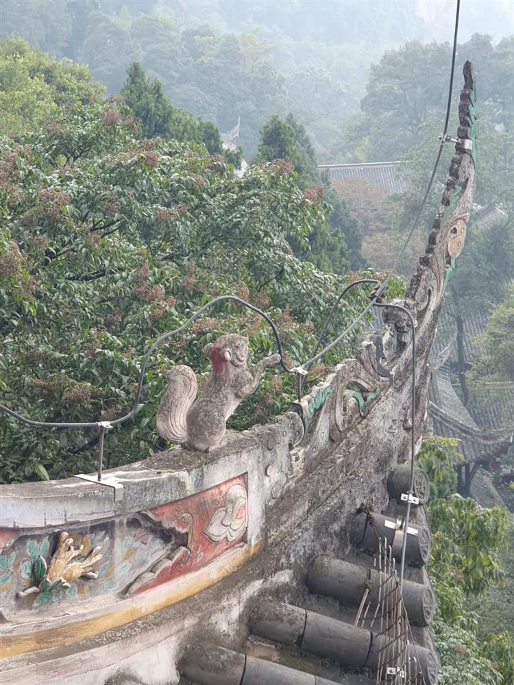 WhatsApp Image 2024-11-05 at 10.18.42 (1).jpeg