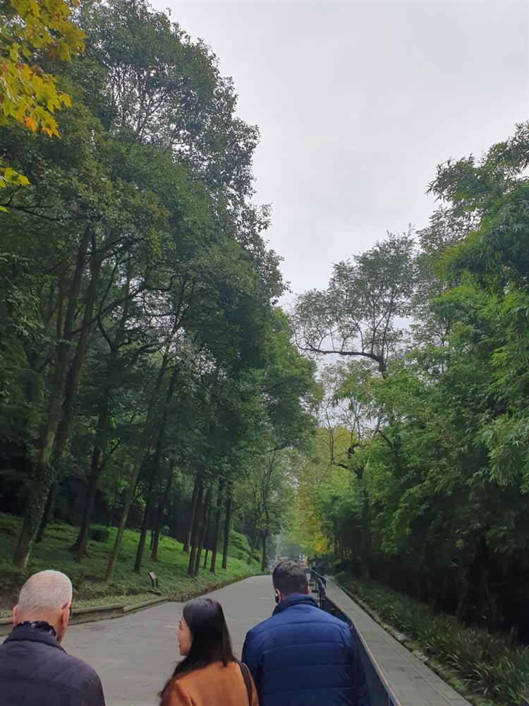 WhatsApp Image 2024-11-05 at 10.18.42.jpeg