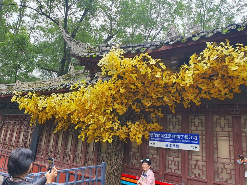 WhatsApp Image 2024-11-05 at 10.18.40.jpeg