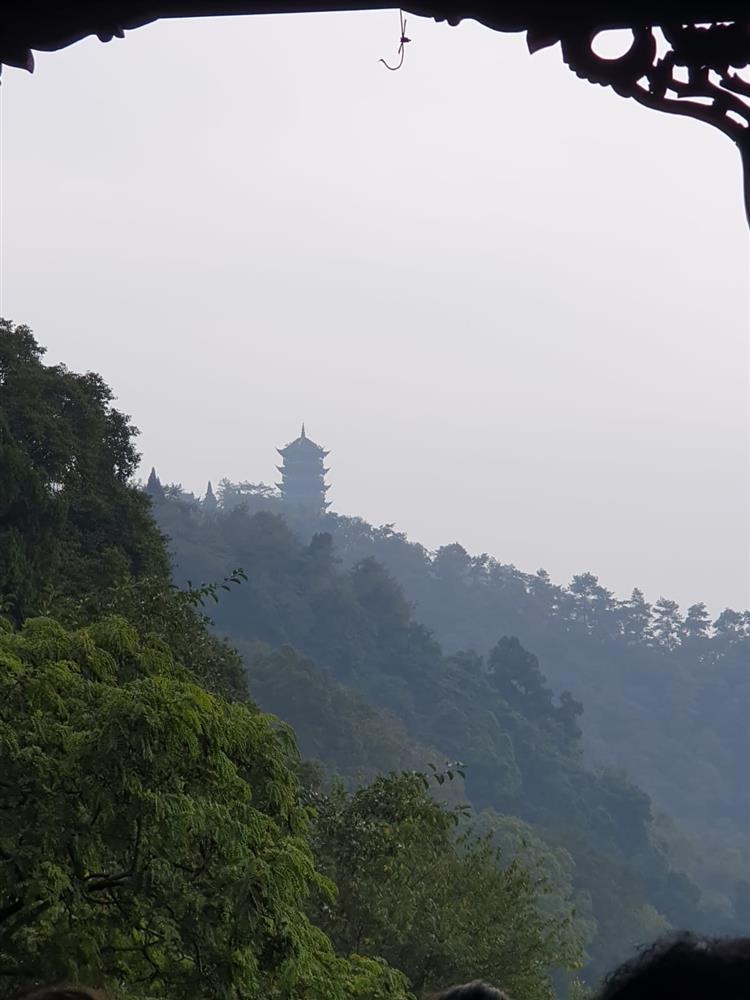 WhatsApp Image 2024-11-05 at 10.18.35 (1).jpeg