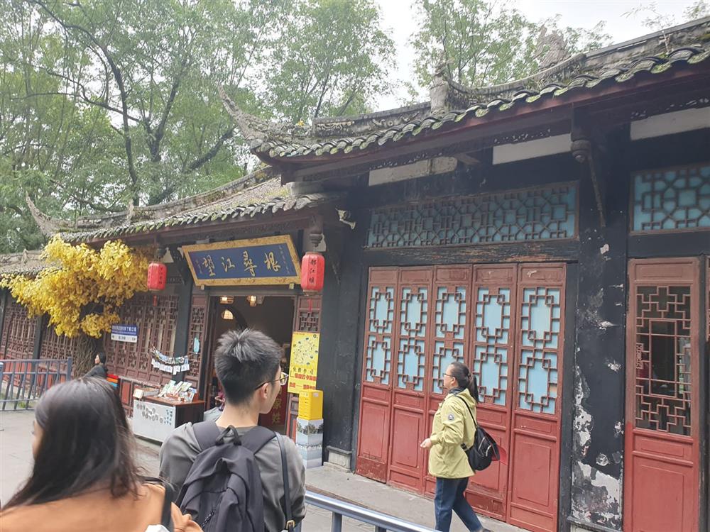 WhatsApp Image 2024-11-05 at 10.18.35.jpeg