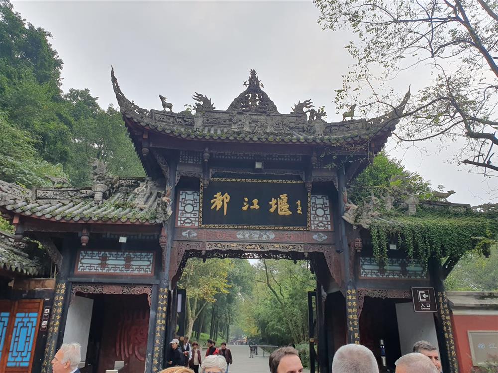 WhatsApp Image 2024-11-05 at 10.18.32.jpeg