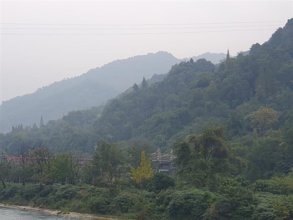 WhatsApp Image 2024-11-05 at 10.18.18.jpeg