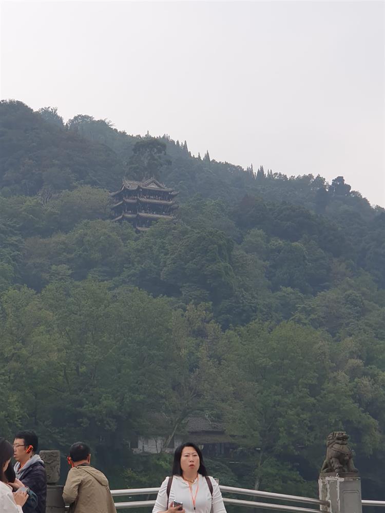 WhatsApp Image 2024-11-05 at 10.18.17.jpeg