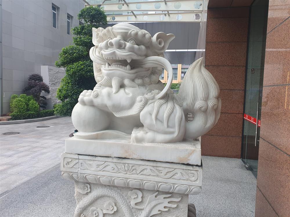 WhatsApp Image 2024-11-06 at 13.27.58.jpeg