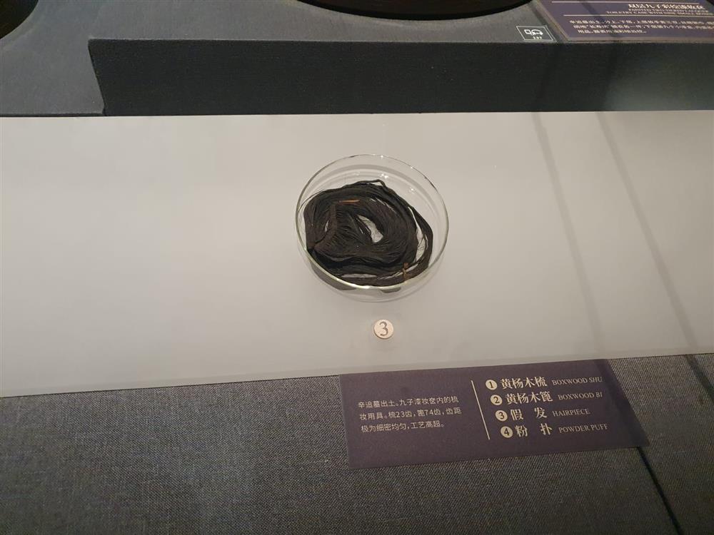 WhatsApp Image 2024-11-08 at 08.42.39.jpeg