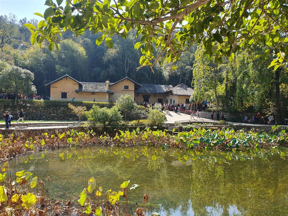 WhatsApp Image 2024-11-08 at 05.50.47.jpeg