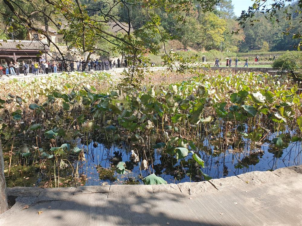 WhatsApp Image 2024-11-08 at 05.50.46.jpeg