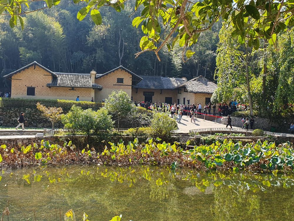 WhatsApp Image 2024-11-08 at 05.50.40 (1).jpeg