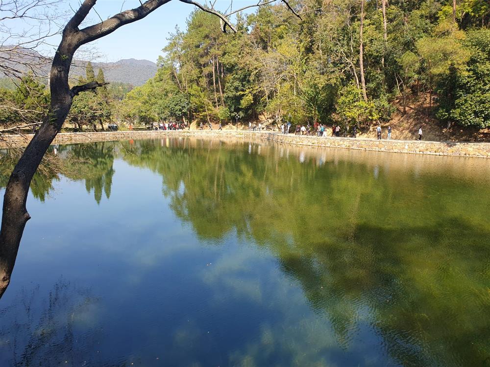 WhatsApp Image 2024-11-08 at 05.50.40.jpeg