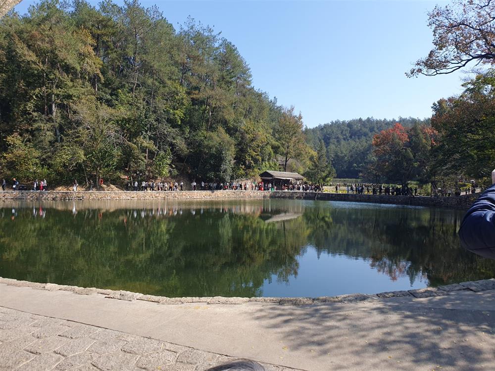 WhatsApp Image 2024-11-08 at 03.57.39.jpeg