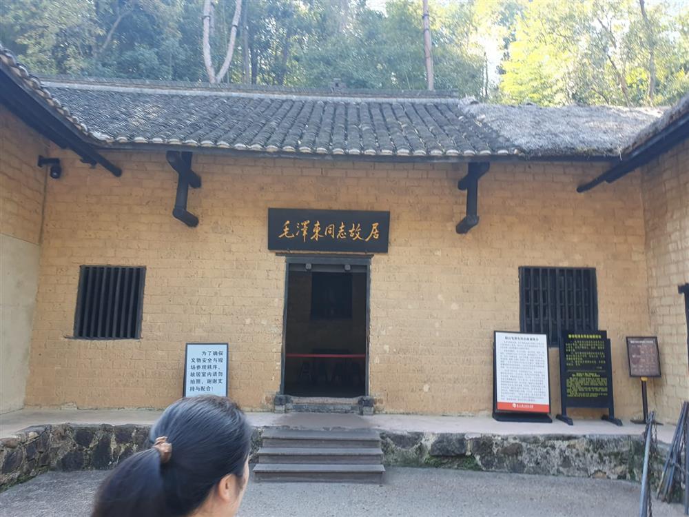 WhatsApp Image 2024-11-08 at 03.57.26.jpeg