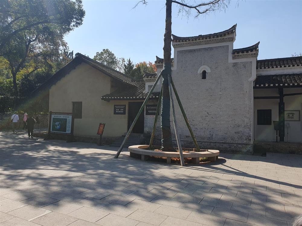 WhatsApp Image 2024-11-08 at 03.57.12.jpeg