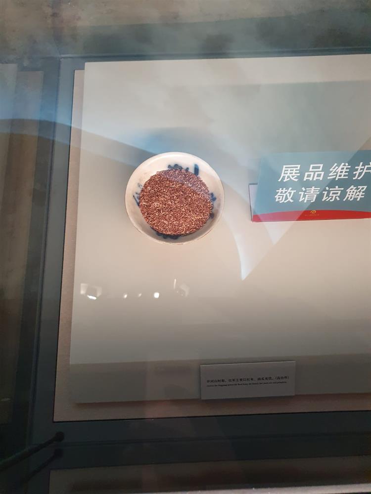 WhatsApp Image 2024-11-08 at 03.56.51.jpeg