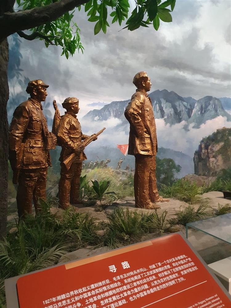 WhatsApp Image 2024-11-08 at 03.56.49.jpeg