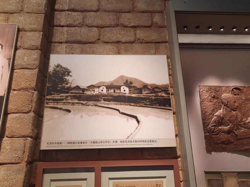 WhatsApp Image 2024-11-08 at 03.56.05.jpeg