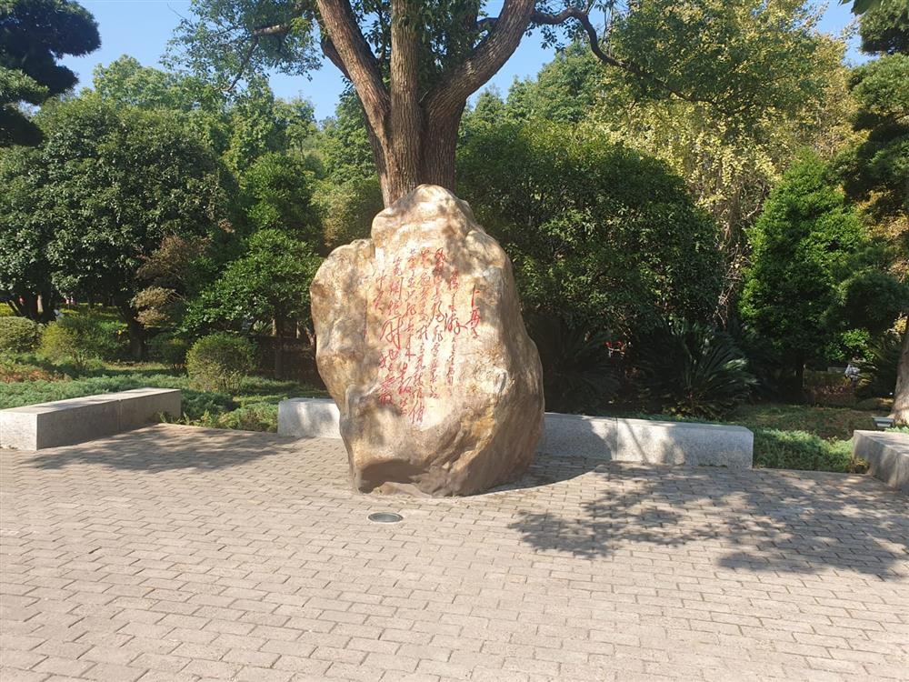 WhatsApp Image 2024-11-08 at 03.55.52.jpeg