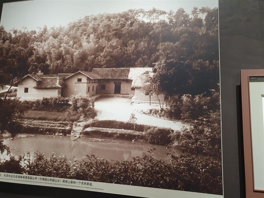 WhatsApp Image 2024-11-08 at 03.55.44.jpeg