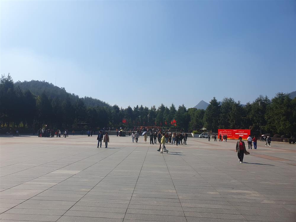 WhatsApp Image 2024-11-08 at 03.55.39.jpeg