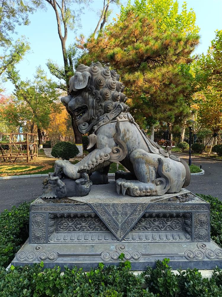 WhatsApp Image 2024-11-14 at 17.05.07.jpeg