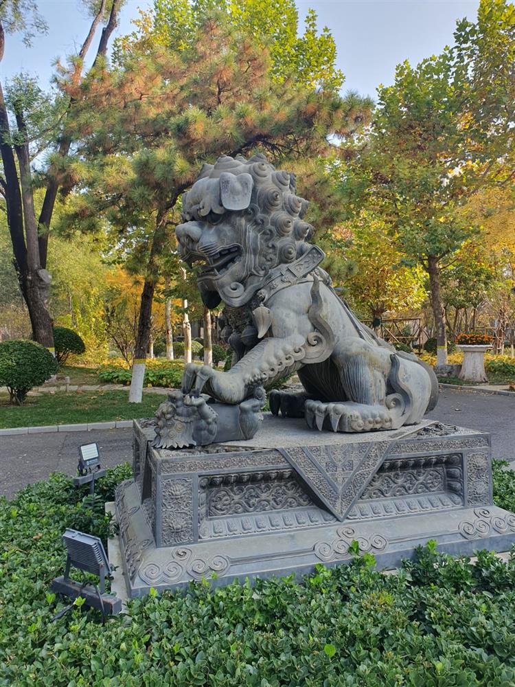 WhatsApp Image 2024-11-14 at 17.05.10 (1).jpeg