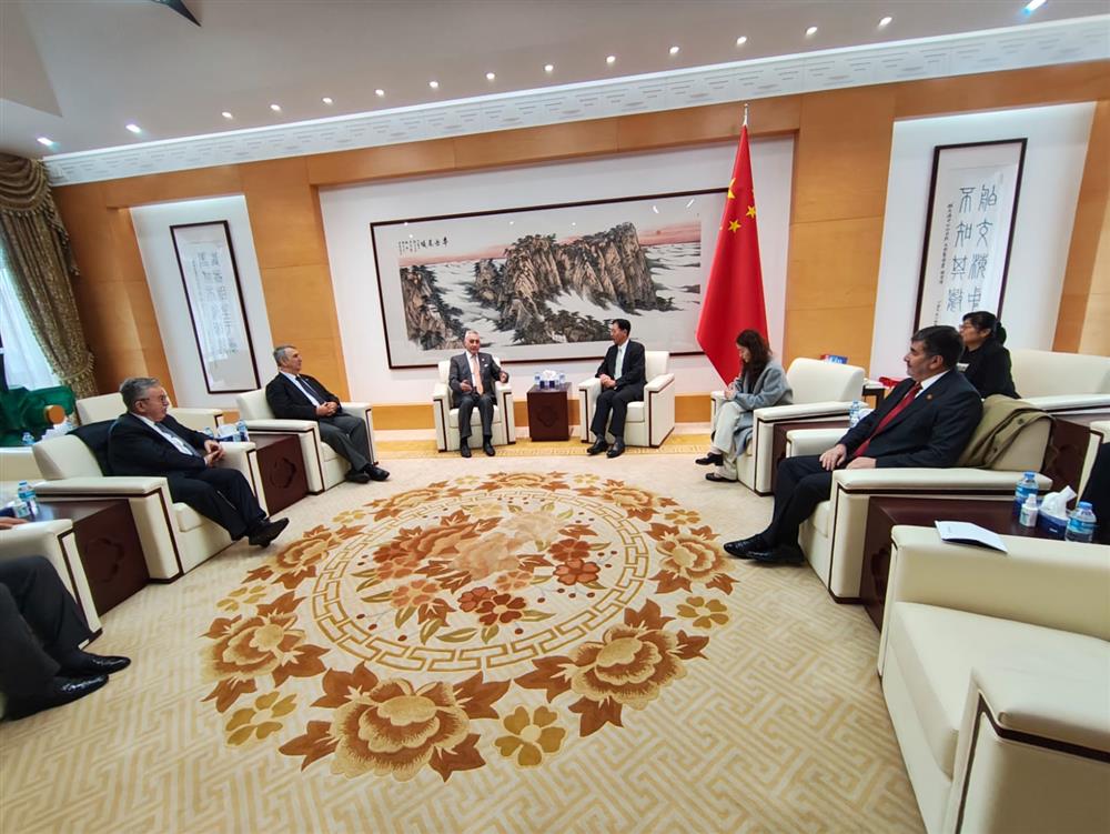 WhatsApp Image 2024-11-22 at 14.41.03.jpeg