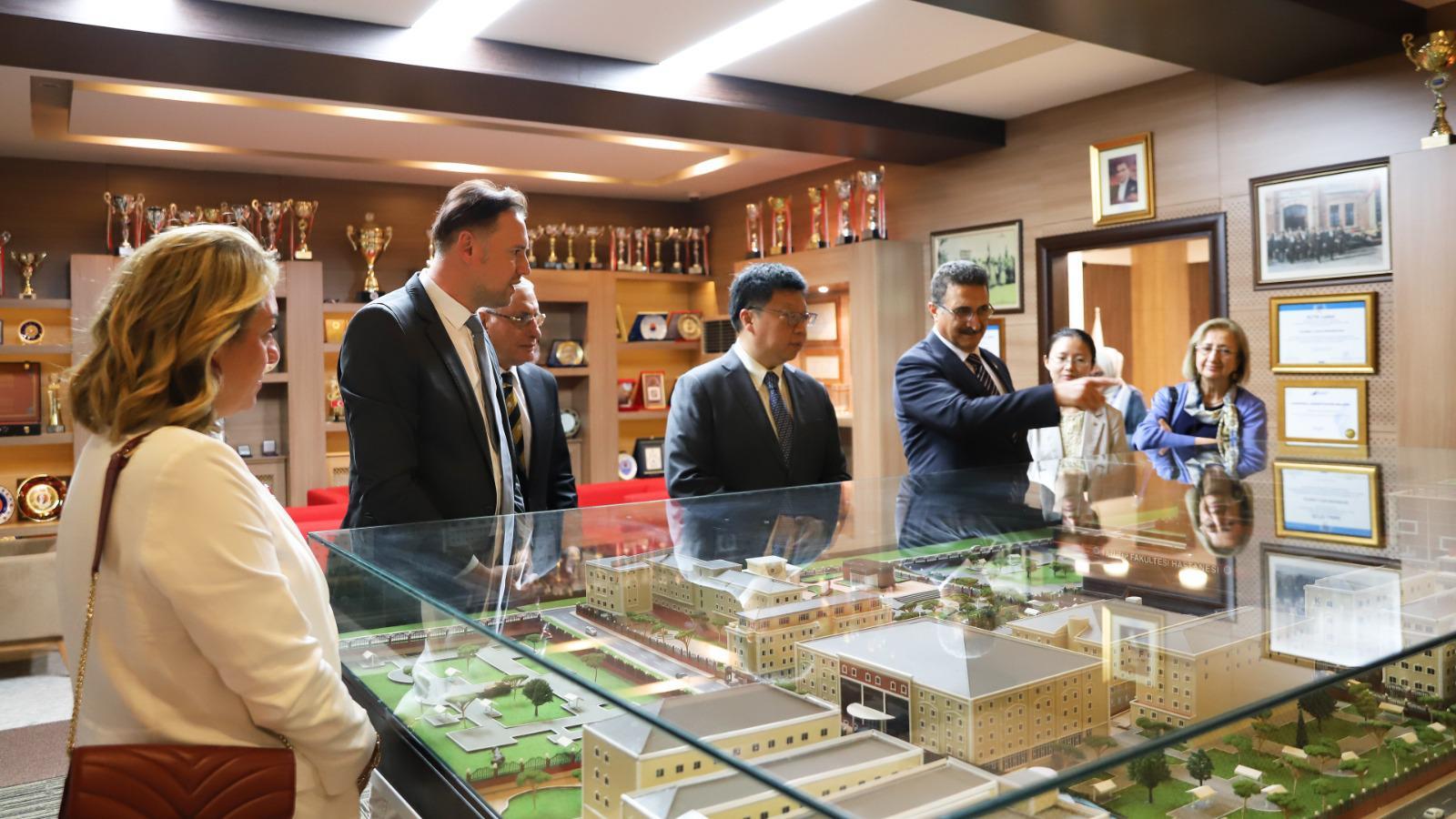 WhatsApp Image 2025-06-26 at 16.53.46.jpeg